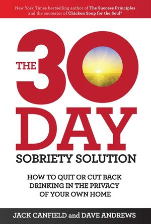 The 30-Day Sobriety Solution image number 0