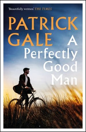 A Perfectly Good Man image number 0