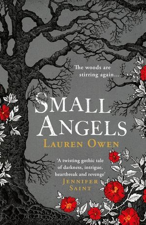 Small Angels: 'a Twisting Gothic Tale of Darkness, Intrigue, Heartbreak and Revenge' Jennifer Saint image number 0