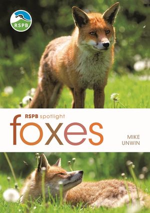 Rspb Spotlight: Foxes image number 0