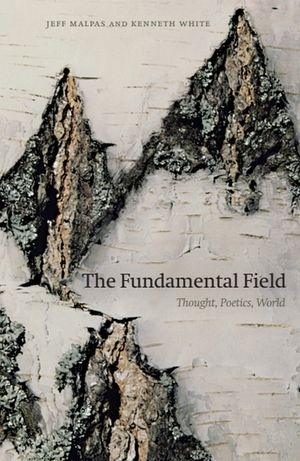 The Fundamental Field: Thought, Poetics, World image number 0