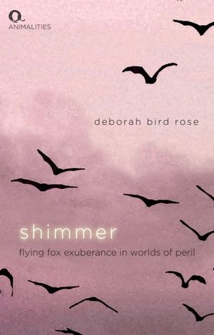 Shimmer: Flying Fox Exuberance in Worlds of Peril image number 0