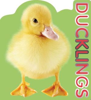 Ducklings image number 0