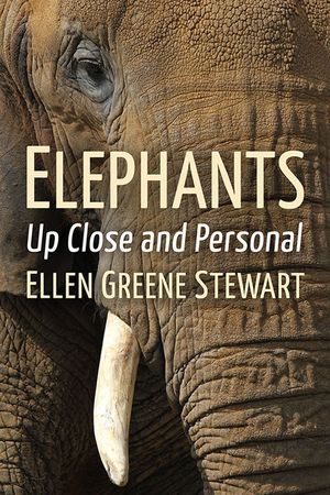 Elephants: Up Close and Personal image number 0