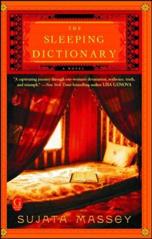 The Sleeping Dictionary image number 0