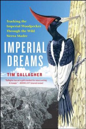 Imperial Dreams: Tracking the Imperial Woodpecker Through the Wild image number 0