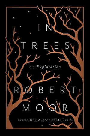 In Trees: An Exploration image number 0