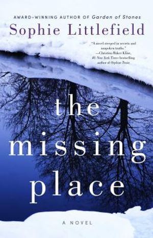 The Missing Place image number 0