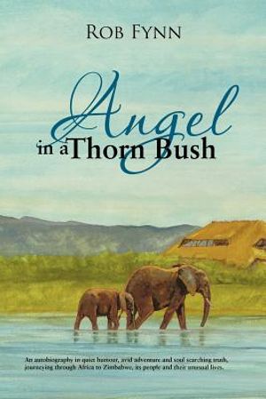 Angel in a Thorn Bush image number 0
