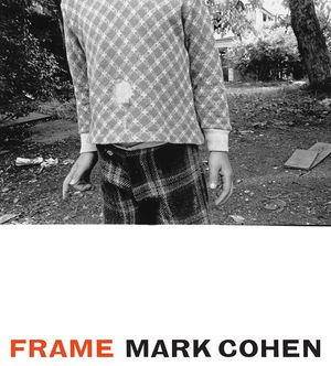 Frame: A Retrospective image number 0
