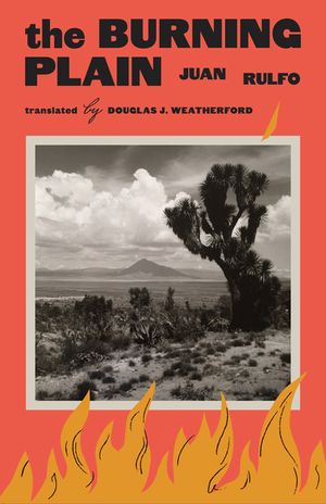 The Burning Plain image number 0