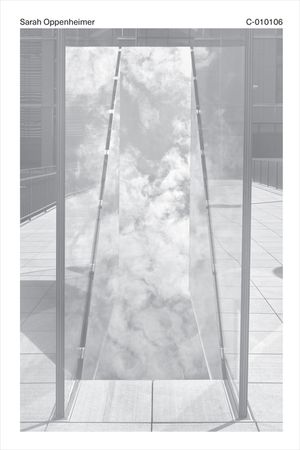 Sarah Oppenheimer: C-010106 image number 0