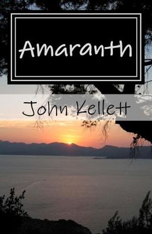 Amaranth: A Tale of Magical Lands, Wizards and Adventure. image number 0