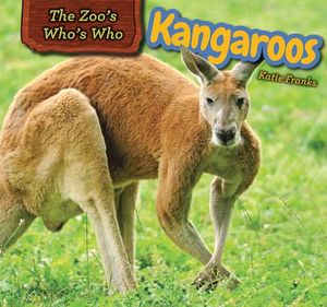 Kangaroos image number 0