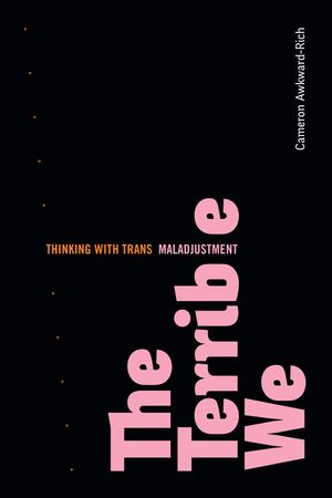 The Terrible We: Thinking with Trans Maladjustment image number 0