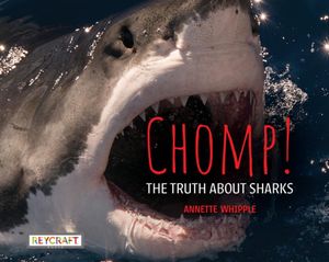 Chomp! the Truth about Sharks image number 0