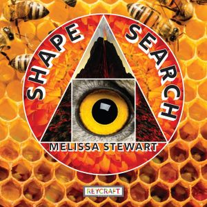 Shapes image number 0