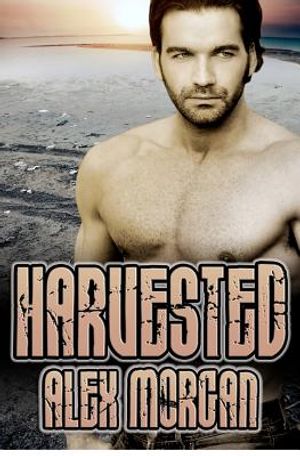 Harvested image number 0