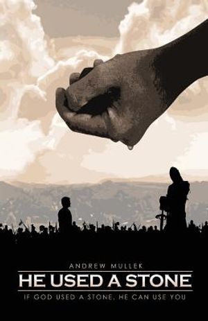 He Used A Stone: If God Used A Stone, He Can Use You image number 0