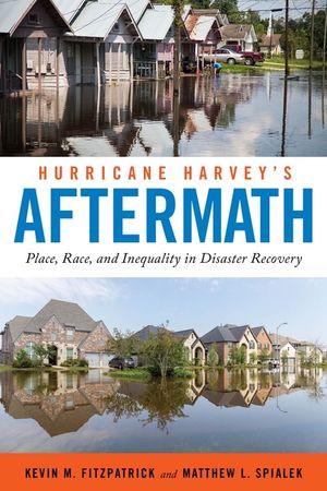 Hurricane Harvey's Aftermath: Place, Race, and Inequality in Disaster Recovery image number 0