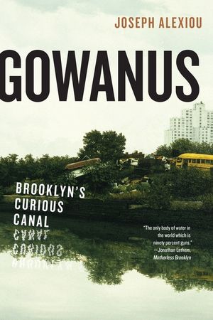 Gowanus: Brooklyn's Curious Canal image number 0
