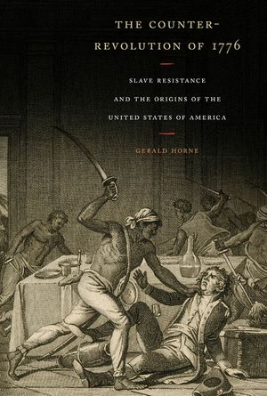 The Counter-Revolution of 1776: Slave Resistance and the Origins of the United States of America image number 0