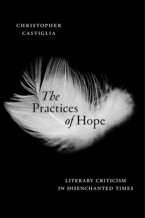 The Practices of Hope: Literary Criticism in Disenchanted Times image number 0