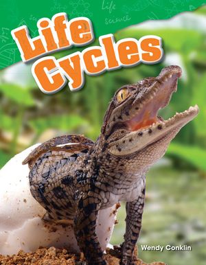 Life Cycles image number 0