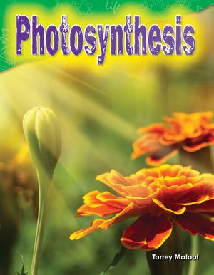 Photosynthesis image number 0