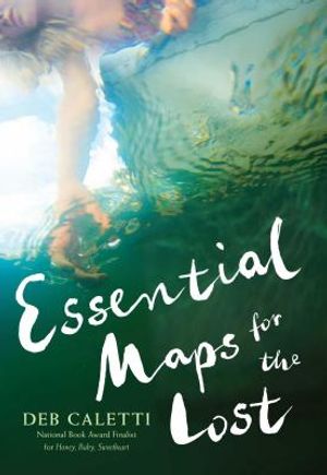 Essential Maps for the Lost image number 0