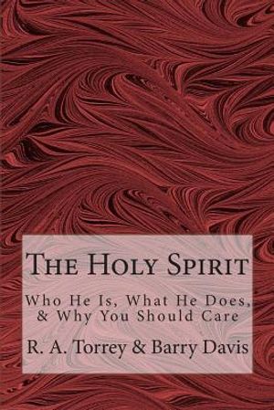 The Holy Spirit: Who He Is, What He Does, & Why You Should Care image number 0