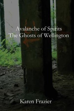 Avalanche of Spirits: The Ghosts of Wellington image number 0