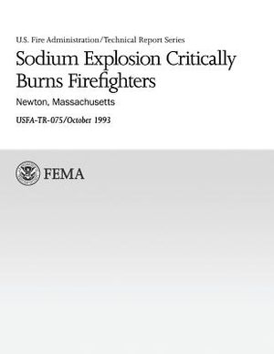 Sodium Explosion Critically Burns Firefighters: Newton, Massachusetts image number 0