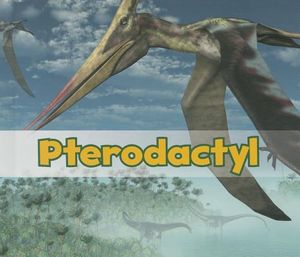 Pterodactyl image number 0