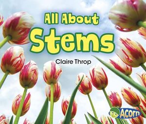 All about Stems image number 0