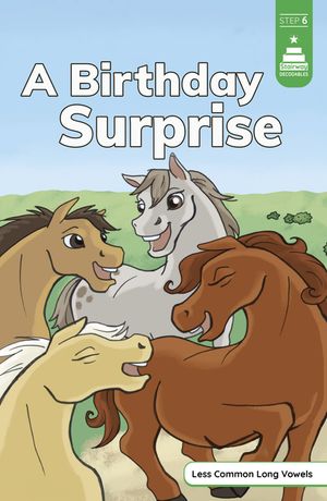A Birthday Surprise image number 0