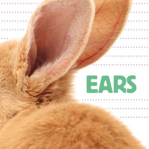 Ears image number 0