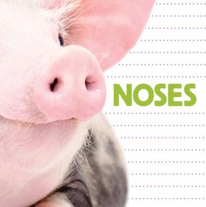 Noses image number 0