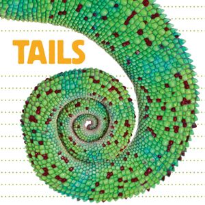 Tails image number 0