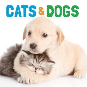Cats & Dogs image number 0