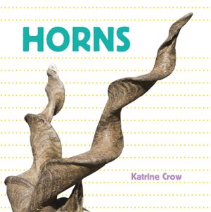 Horns image number 0