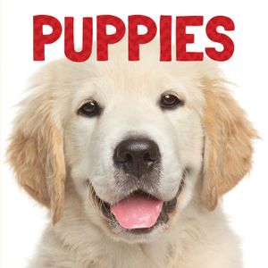 Puppies image number 0