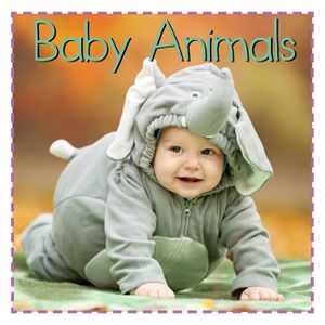 Baby Animals image number 0