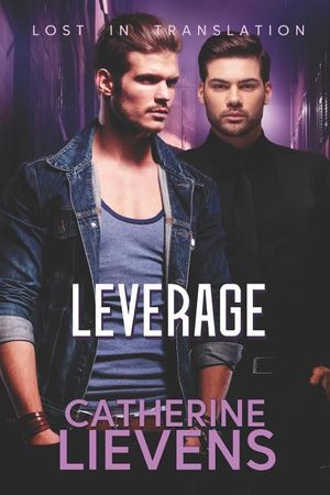 Leverage image number 0