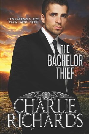The Bachelor Thief image number 0