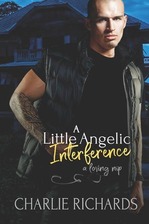 A Little Angelic Interference image number 0