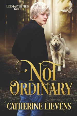Not Ordinary image number 0