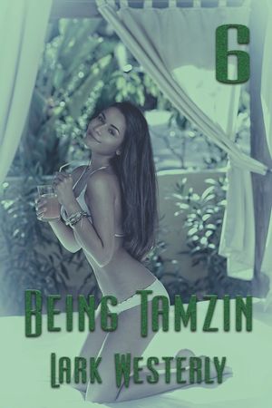 Being Tamzin 6 image number 0