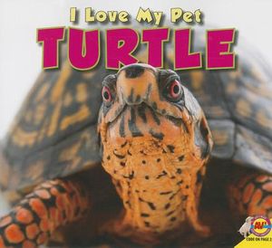 Turtle image number 0