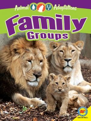 Family Groups image number 0